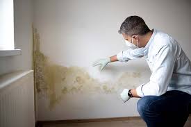 Best Mold Odor Removal Services  in Lauderdale By The Sea, FL